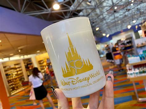 Bring the magic of the Disney parks to your doorstep with the DISV discount code